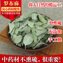 Apocynus leaf 500g can take herbal tea Apocynus leaf tea