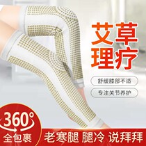 Brand high-end Wormwood knee cover warm old cold leg old joint cold artifact extended leg protector male Lady