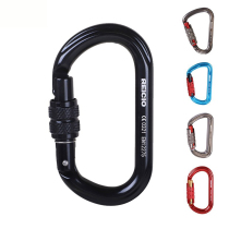 Outdoor climbing climbing rock climbing main lock O-D type Pear Silk Buckle Shaped Rescue Equipment Safety Buckle CE Ice Climbing New