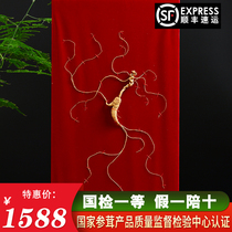 Wild 30 years Wild mountain ginseng First-class ginseng National inspection gift box wine 25 years Forest ginseng Changbai Mountain Old Mountain Ginseng