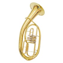 Fuzhou professional maintenance wind instrument saxophone flute clarinet various brass instruments