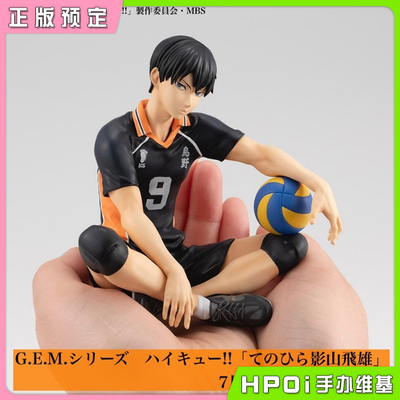 taobao agent Volleyball MegaHouse GEM, minifigure, hpoi