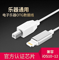 Suitable for Apple OTG musical instrument integrated cable iPad iPhone connect electric piano electronic drum MIDI editing cable