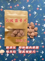 Pet lactic acid mycelin tablets conditioning gastrointestinal digestion to enhance immunity Rabbit Rabbit Dutch pig probiotics tablets