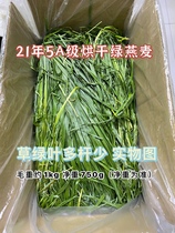 21 years drying green oat grass Green oatmeal rabbit rabbit Dutch pig Chinchilla main grass forage Gross weight about 1kg
