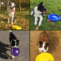 Xingji FRISBEE Special frisbee for dogs Large dog side animal toy FLYING SAUCER GOLDEN Retriever BITE-resistant dog frisbee Pet supplies