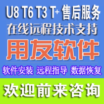 UF Financial software T3 T6 U8 remote installation implementation After-sales service Online training Maintenance recovery
