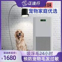 Pet home cat house to taste cat hair hair remover anti-allergy air purifier