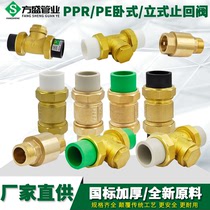 PPR check valve Brass horizontal vertical check valve Check valve Check valve PPR water pipe fittings accessories
