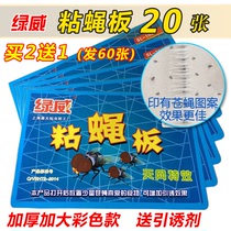 20 colorful thickened models Buy 2 get 1 free Greenway fly board safety and efficient fly killer lure fly trap glue sticker