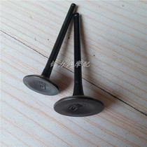 Pedal-assisted motorcycle SGY6125 valve four-stroke air-cooled SGY6125 intake and exhaust valve Jialing valve