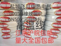 Silicone rubber braided high temperature wire 25 square GN500 mica wrapped high temperature wire high temperature wire full specification
