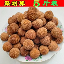 5 Jin 2021 new goods Gaozhou Guiwei Litchi dry nuclear small meat thick farmhouse specialty self-produced and sold