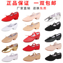 Dance shoes Womens soft soles adult practice shoes teacher body dancing shoes big flat folk belly dance ballet shoes