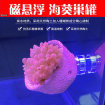 Nipple nest pacifier anti-running artifact home Cup sea anemone Cup sea anemone nest coral pot emperor Sea