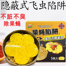 Fly trap Anti-fruit fly sticker strong stick to kill fruit fly household kitchen small flying insect killing artifact fly cockroach