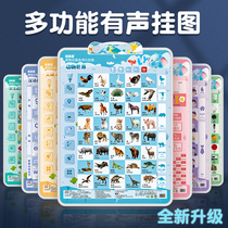 Sound early education wall chart artifact Enlightenment map recognition Early childhood children pinyin alphabet Wall sticker baby sound toy