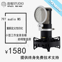 797 audio M5 professional recording condenser microphone ultra high cost performance domestic Royal Goods