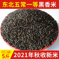 2021 New Rice Wuchang High-quality New Black Rice Authentic Northeast Grain Farmhouse Black Rice Black Rice Black Fragrant Rice 5 Jin