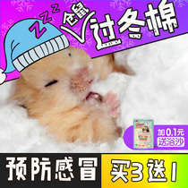 Hamster cotton winter supplies warm and skim winter cotton ball winter cotton quilt winter small golden bear toy 3 send 1