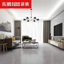 Dongpeng ceramic tile Ouya gray negative ion tile 800x800 floor tile living room tile non-slip floor tile modern simple