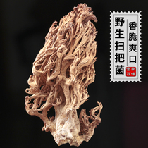 2021 Wild coral fungus dry goods brush fungus Yunnan specialty broom fungus chicken claw mushroom soup broom fungus 500g