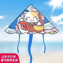 Weifang kite 2020 new Chinese style net red Breeze easy fly 2021 small children adult large