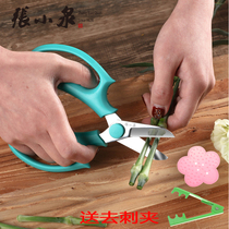 Zhang Xiaoquan Floral Shear Rose Flower Shear Gardener Floral Flower Cut Branch Branch Repair Flower Pruning Branch Cut Flower Branch Pruning Flower Branch Cut
