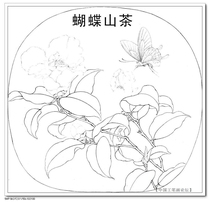 Work on the bottom draft of the work-The Butterfly Mountain Tea