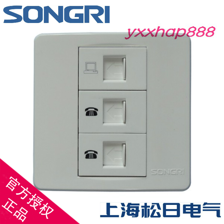 Shanghai Songri Switch and Socket Ju'an Series 862 Bit Telephone Belt Computer Network Line Insertion 2 Telephone One Network Insertion