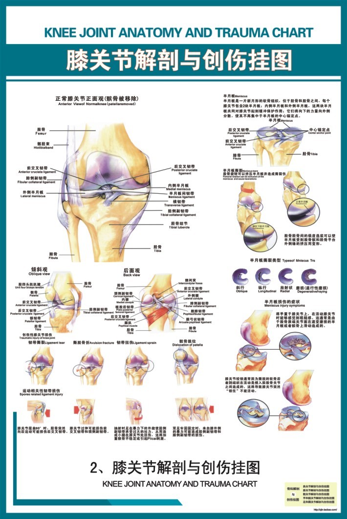 大明春 e品