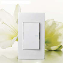 Delixi 120 type switch socket wall panel one open dual control fluorescent single open dual control 1 Position 1 open