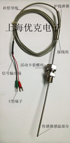 Active card sleeve armored thermocouple thermal resistance temperature sensor probe WRNK-391 WZPK-391