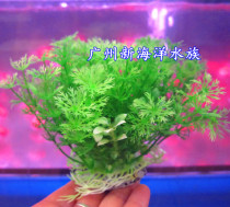 Water grass full 68 yuan fish tank aquarium rockery landscaping decoration simulation fake water grass green pine Cypress leaf shape
