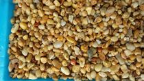 Natural small stone wash stone trash cans fine sand fish tank stone yellow small stone