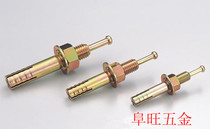 Core expansion bolt expansion screw tapping gecko hammer nail gecko (M16 series)