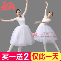 Ballet uniform adult ballet dress costume black and white swan dance skirt lace short sleeve hair photo uniform