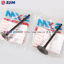 SYM Xia Xing Sanyang Chinese Horse XS125-K XS125-3 XS150-11A T1 intake and exhaust valve