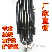Tianjin thunder musical instrument professional 24-spring plus 7-key PA Sheng 24-spring live bucket crimping paint playing Sheng