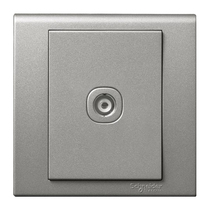 Schneider switch socket blue rhyme series cable CCTV one branch 86 type panel meteorite Ash