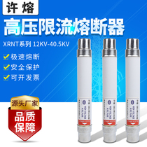 XRNT-35KV-40 5KV-6 3A10A16A20A box transformer full range high voltage current limiting fuse