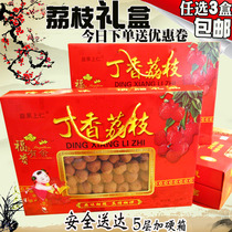 Fujian specialty Putian litchi dried litchi 500g dry goods gift box specialty New Year gift 3 boxes