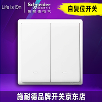 Schneider Fengshang White Ribbon fluorescent double Open double two open self-recovery dry contact switch