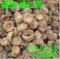Rubber shells oak bowls oak tree shells chestnut shells chestnut skins acorn shells acorn hats plant dyes decorative materials