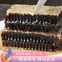 Honeycomb honey 500g Edible thorn honey chewed earth honey Pure natural farm-produced honeycomb honey nest wild