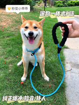 Shiba Dog Collar Explosion-proof Rope Walking Dog Rope Corky p Chain Small Medium and Large Dog Schnauzer Puppy Training p Rope