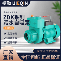 Large flow sewage self-priming centrifugal pump 380V non-clogging manure slurry sewage pump household 220V Pump