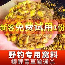 Fishing secret nest material Laotan corn grain Wheat grain nest king lees summer nest material wild fishing carp hand grip into a group
