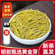 Golden Bud Tea 2021 Xinmingqian Special Spring Tea Anji White Tea Golden Tea Authentic Alpine Bulk Green Tea 250g