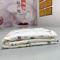 Baby Boy Silk Quilt 100 Mulberry Silk Kindergarten Summer Cool Quilt Core Newborn Baby Air Conditioning Covered with A Type of Outer Quilt Cover